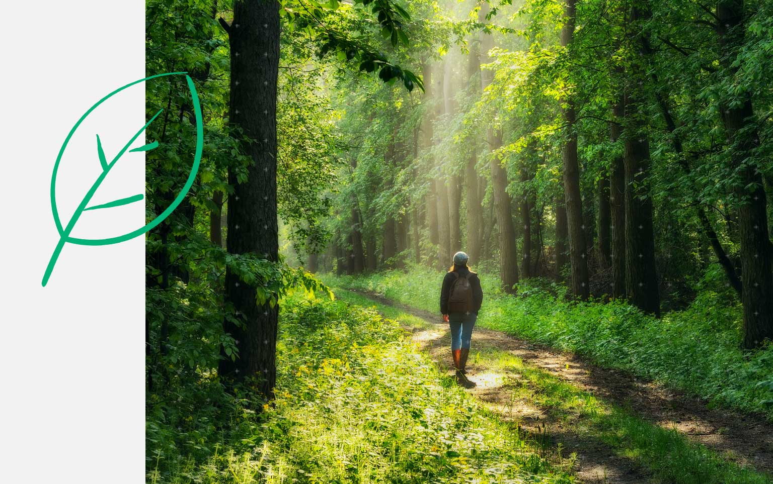 Groen bos met wandelaar