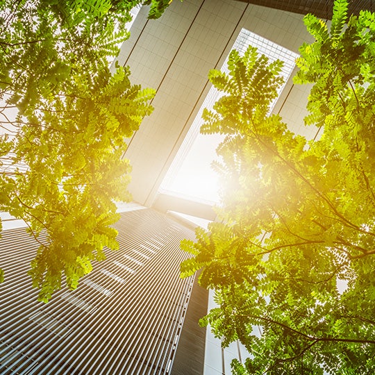 bomen bij een kantoorgebouw