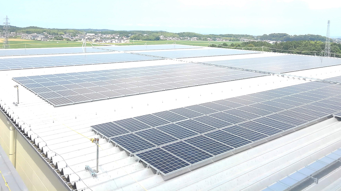 Zonnepanelen op Tamaki plant